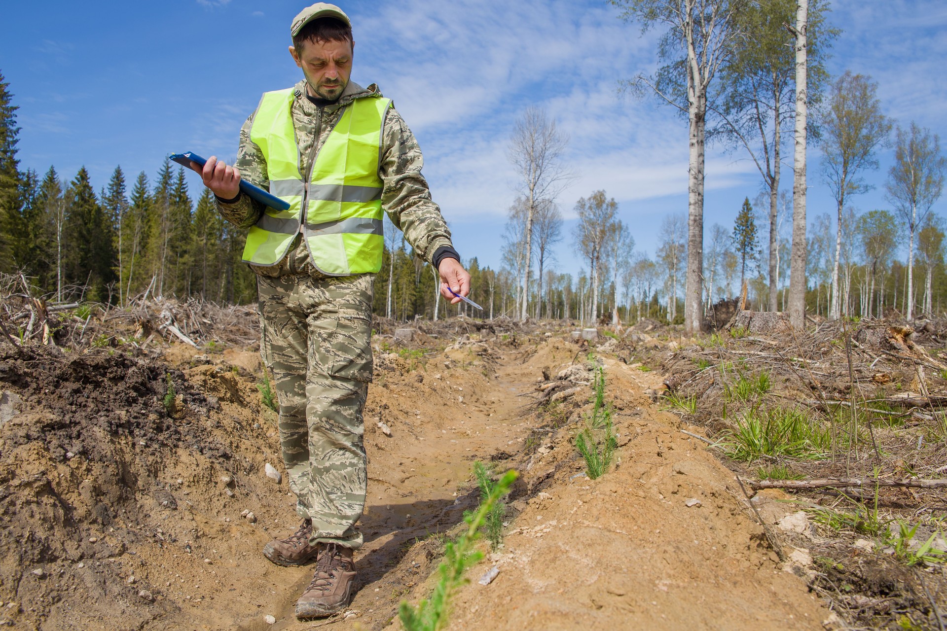 Forest engineer checks the quality of work